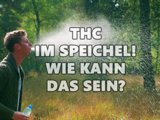 Warum ist thc im speichel nachweisbar?